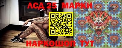 стафф Гусев