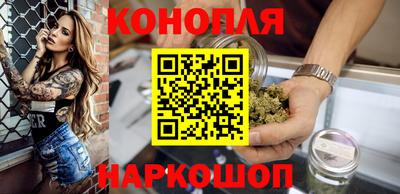 Альфа ПВП Гусиноозёрск