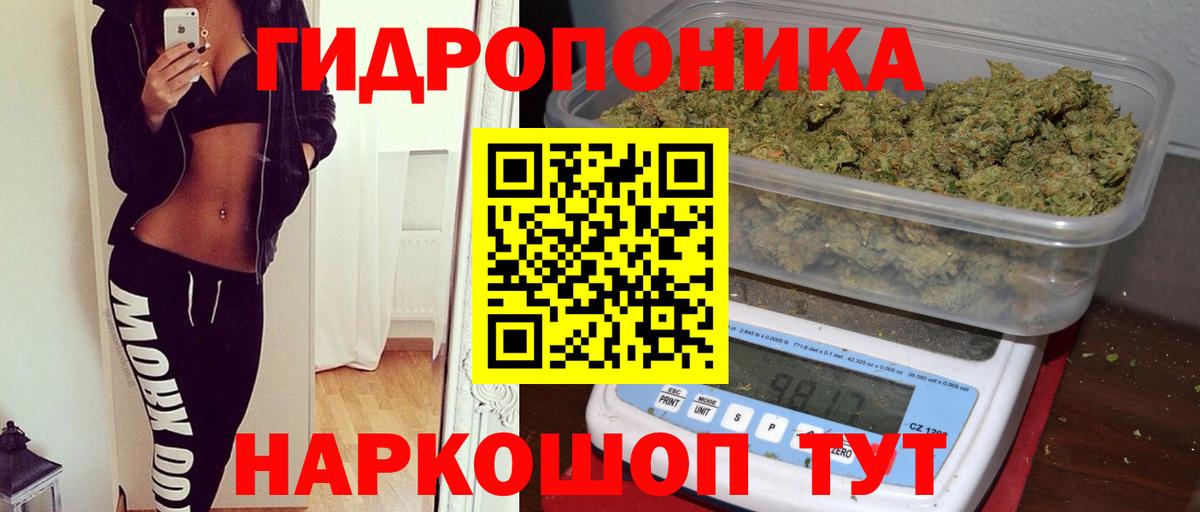 Каннабис тримм  Вход с VPN  Марихуана AK-47  Заинск 